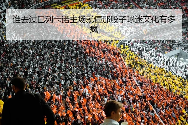 谁去过巴列卡诺主场就懂那股子球迷文化有多疯（kaiyun）