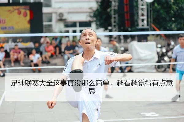 足球联赛大全这事真没那么简单，越看越觉得有点意思